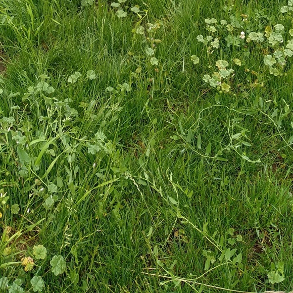 Meet the Posher Other - Meet your Posher, Sutarsih